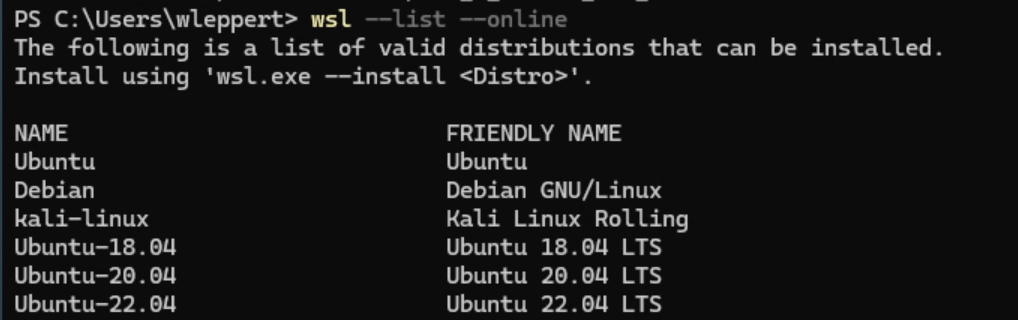 WSL2 bridged networking IP verification